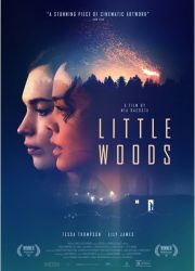 دانلود فیلم Little Woods 2018