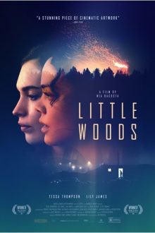 دانلود فیلم Little Woods 2018 با زیرنویس فارسی بدون سانسور