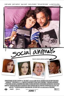 دانلود فیلم Social Animals 2018 با زیرنویس فارسی بدون سانسور
