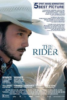 دانلود فیلم The Rider 2017 با زیرنویس فارسی بدون سانسور
