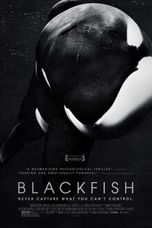 دانلود فیلم Blackfish 2013 با زیرنویس فارسی بدون سانسور
