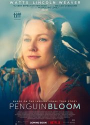 دانلود فیلم Penguin Bloom 2020 با زیرنویس فارسی