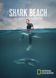 دانلود فیلم Shark Beach with Chris Hemsworth 2021 با زیرنویس فارسی