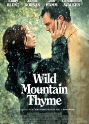 دانلود فیلم Wild Mountain Thyme 2020 با زیرنویس فارسی